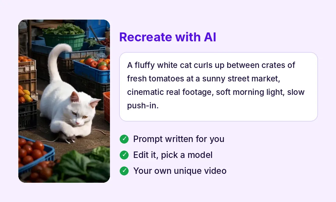 Recreate with AI: a prompt written from a ready-made video of a white cat at a market